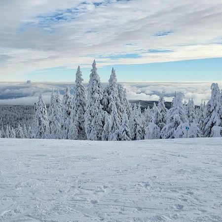 Chata Jeleni Drevenice S Vlastni Virivkou Horni Halze Dış mekan fotoğraf