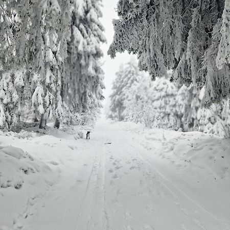 Chata Jeleni Drevenice S Vlastni Virivkou Horni Halze Dış mekan fotoğraf