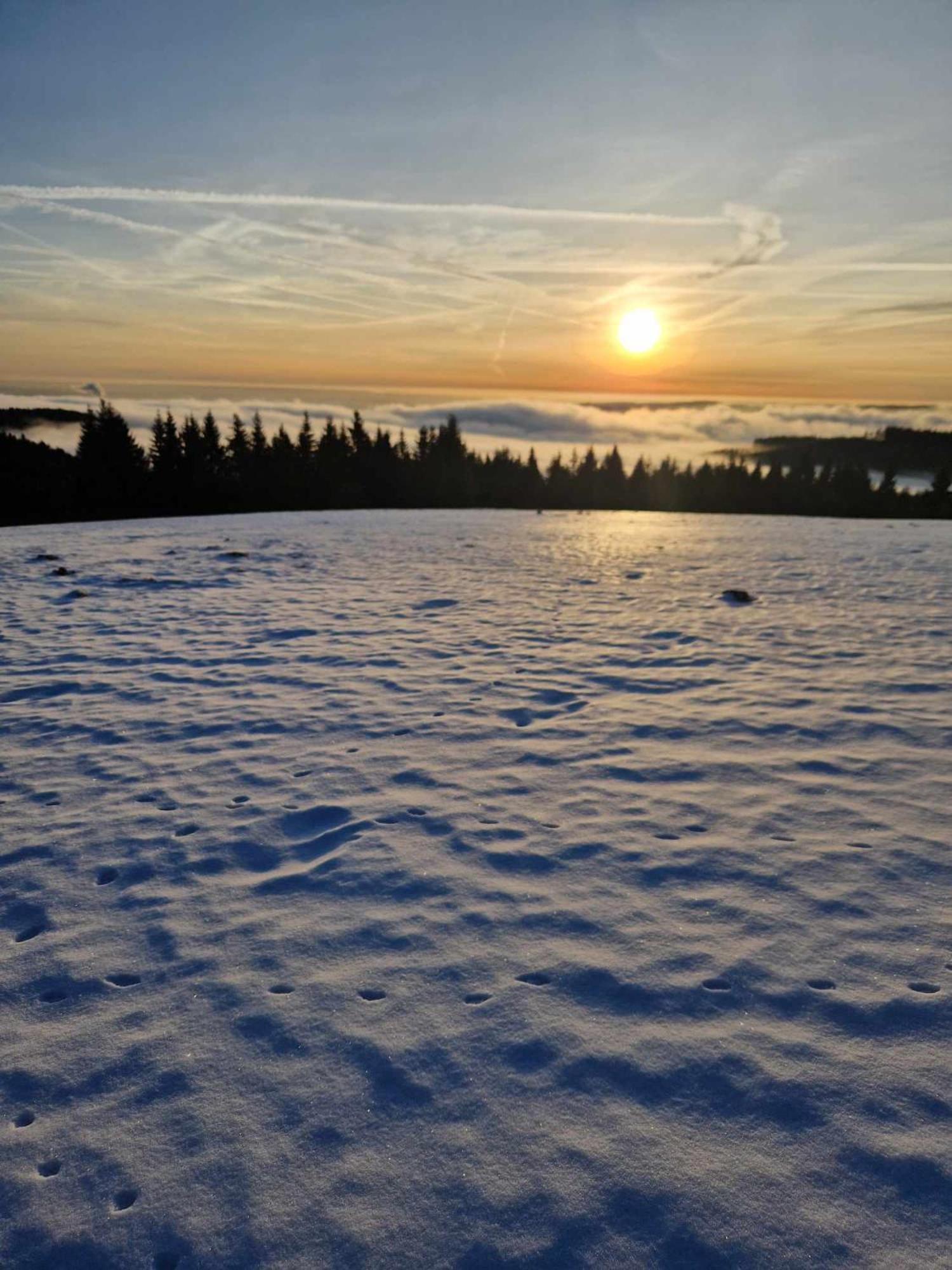 Chata Jeleni Drevenice S Vlastni Virivkou Horni Halze Dış mekan fotoğraf