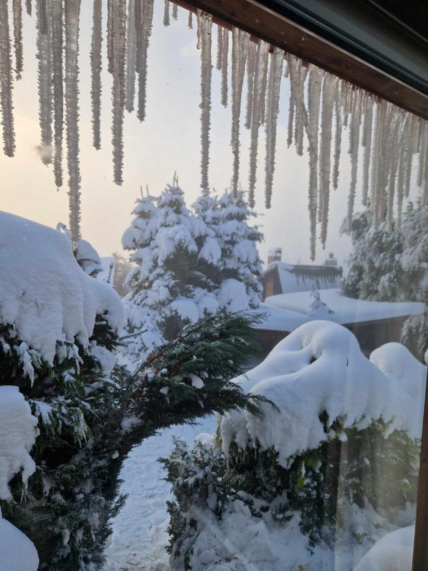 Chata Jeleni Drevenice S Vlastni Virivkou Horni Halze Dış mekan fotoğraf