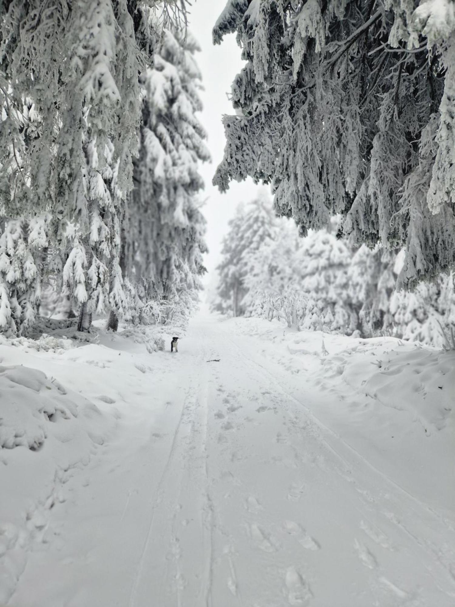 Chata Jeleni Drevenice S Vlastni Virivkou Horni Halze Dış mekan fotoğraf